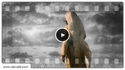 Teste e provação: um caminho para a purificação do ser humano