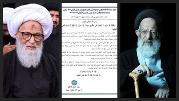 آية الله بشير النجفي: فقدانه خسارة مؤلمة للحوزة العلمية