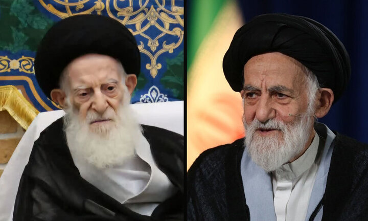 ویدیو | برادر از زبان برادر؛ بخشی از گفت‌وگوی ابنا با آیت‌الله سیدجعفر شبیری زنجانی
