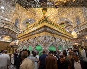 Coronas de flores engalanan el Santuario del Imam Huséin (P) con motivo del nacimiento del Imam Hasan al-Askari (PB)