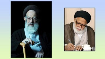 آیت الله زنجانی نے کئی دہائیوں تک حوزۂ علمیہ قم کے علمی حلقوں کو اپنے فیض سے مستفیض فرمایا
