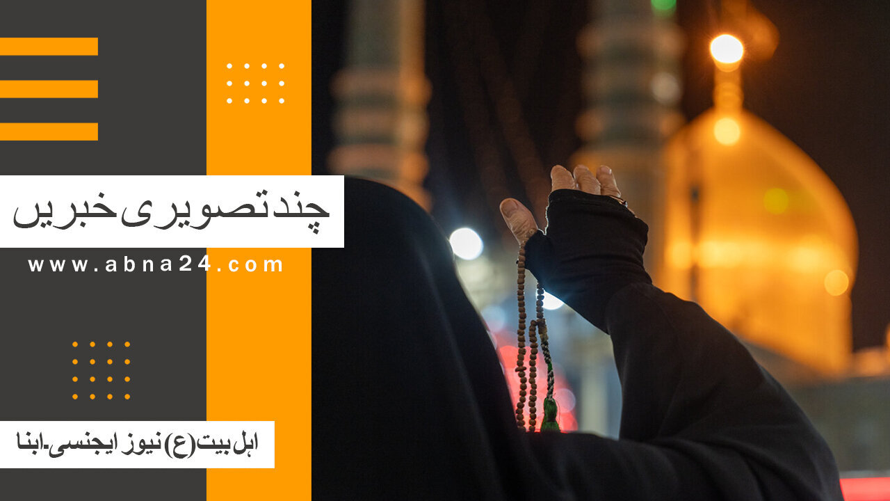 ویڈیو| چند تصویری خبریں