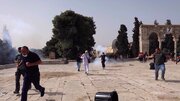 Arab League condemns Israeli escalation in occupied Palestinian territory, al-Aqsa Mosque