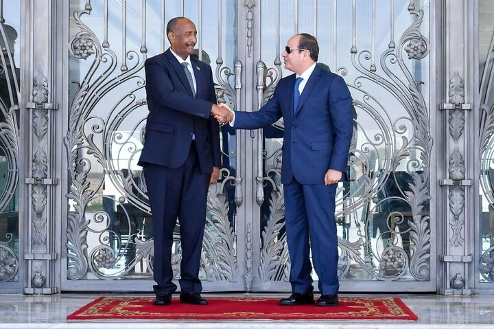 El-Sisi: Tunapinga Uingiliaji Wowote wa Nje katika Masuala ya Nchi za Afrika
