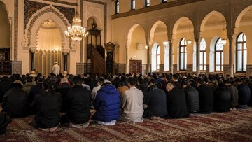 شیخ ودریسی؛ نوری که از ایران به اروپا تابید