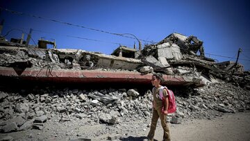Ji destpêka şerê qirkirinê li Gazayê ve, zêdetirî 800 mamosteyên Filistînî di êrîşên Îsraîlê de hatine kuştin