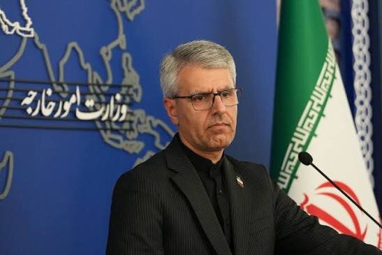 Iran FM spokesman criticizes France for double standard in approach to protests