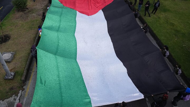 Informe fotográfico | Manifestantes en Colombia protestan contra los lazos con Israel