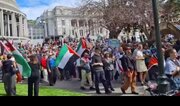 Manifestantes marcham diante do Parlamento da Nova Zelândia e exigem o fim do genocídio em Gaza e sanções contra Israel