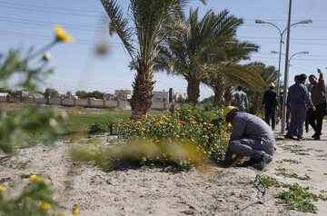 تقرير مصور/ تحت عنوان «على حب علي.. نزرع»..حملة تشجير في النجف الأشرف