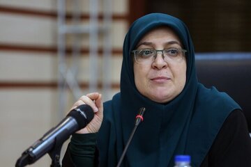 Mohajerani: Upotoshaji wa historia hautapunguza utukufu wa taifa la Iran