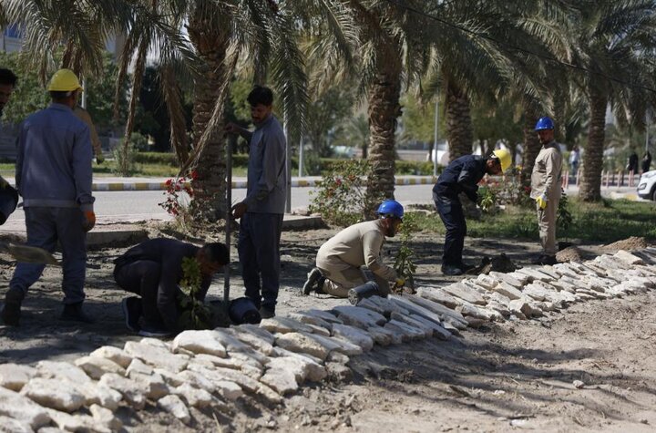 تقرير مصور/ تحت عنوان «على حب علي.. نزرع»..حملة تشجير في النجف الأشرف
