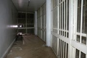 بحرین کی جیل میں سیاسی قیدیوں کی بھوک ہڑتال پانچویں روز بھی جاری، 57 قیدی شریک