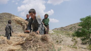 سازمان ملل: جذب کودکان در گروه‌های مسلح توسط طالبان افزایش داشته است