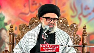 السيد محمد هادي الموسوي: صمت بعض الدول الإسلامية تجاه جرائم فلسطين غير مقبول