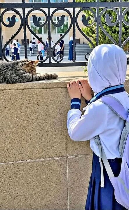 Günün, Bəlkə də Əsrin Fotosu...