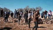Israeli settlers abduct seven Palestinian farmers during West Bank olive harvest