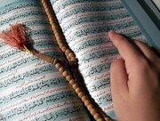 Shia Scholar Highlights Thematic Quranic Interpretation as Basis for Interdisciplinary Research