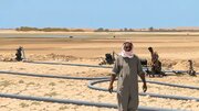 Lêkolîna dîrokî ya li ser Kembera Erebî û bandora wê li nifûsa Kurd û Ereb li Hesekê