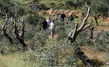 Filistin Topraklarında Tehlikeli Tırmanış: Uzmanlardan “Benzeri Görülmemiş Artış” Uyarısı