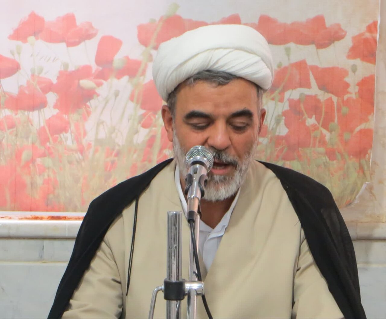 ۱۶ کتاب با موضوع مهدویت در قم رونمایی شد