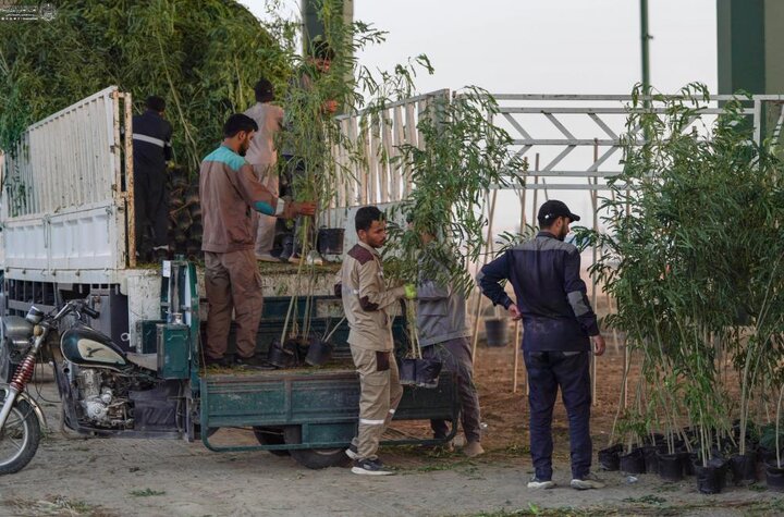 تقرير مصور/ العتبة العلوية المقدسة تواصل بتنفيذ حملة (على حُبّ عليّ نزرع) في النجف الأشرف