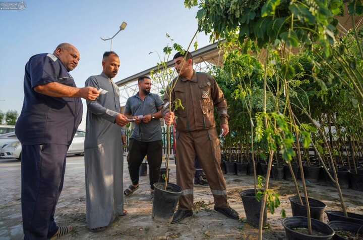 تقرير مصور/ العتبة العلوية المقدسة تواصل بتنفيذ حملة (على حُبّ عليّ نزرع) في النجف الأشرف
