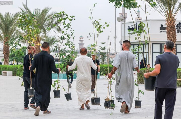 تقرير مصور/ العتبة العلوية المقدسة تواصل بتنفيذ حملة (على حُبّ عليّ نزرع) في النجف الأشرف