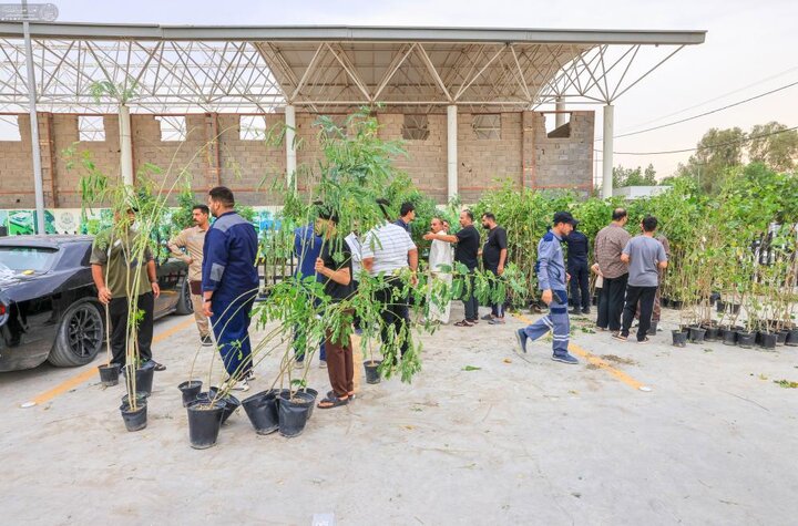 تقرير مصور/ العتبة العلوية المقدسة تواصل بتنفيذ حملة (على حُبّ عليّ نزرع) في النجف الأشرف