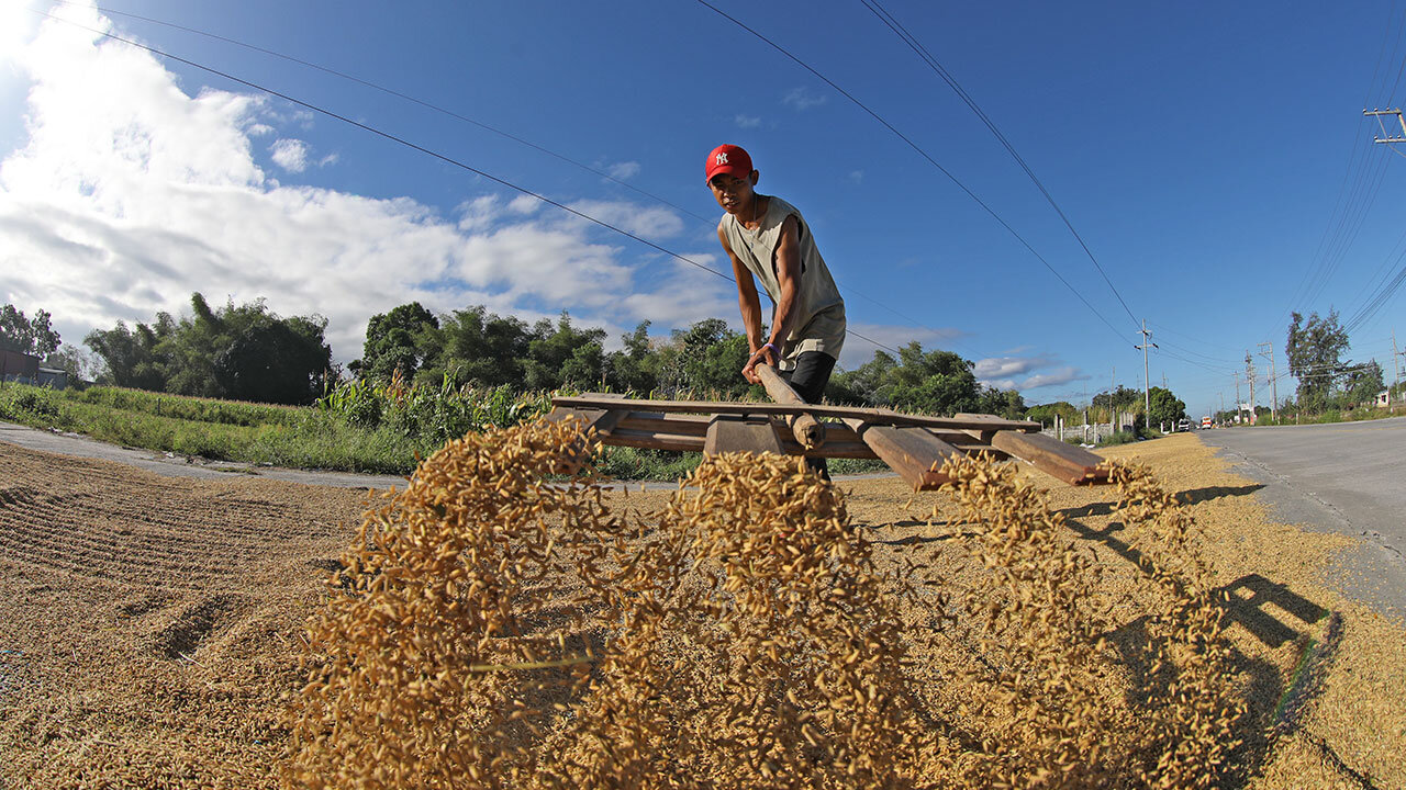 Bigas ng Pilipinas, nagwagi ng tanso sa 2026 World Rice Conference—patunay na kayang makipagsabayan sa mundo