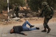 Photos: Olive harvest under Israeli fire