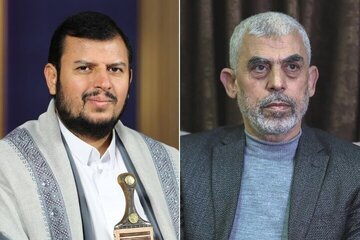 Houthi: Dukungan Kami terhadap Palestina di Masa Depan Akan Semakin Kuat