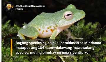 Bagong species ng palaka, natuklasan sa Mindanao matapos ang 106 taon