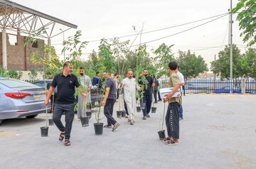 توزیع ۳۰ هزار نهال در پویش درخت‌کاری آستان مقدس علوی
