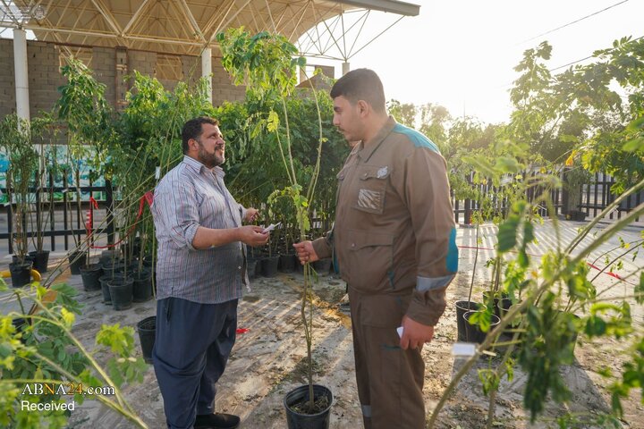 توزیع ۳۰ هزار نهال در پویش درخت‌کاری آستان مقدس علوی