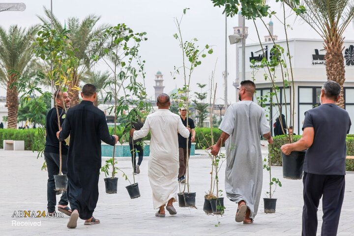 توزیع ۳۰ هزار نهال در پویش درخت‌کاری آستان مقدس علوی