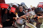 WFP: Two-thirds of Gaza's population still suffering acute food insecurity