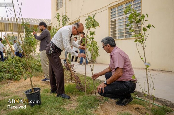 Photos: Distribution of 30,000 saplings in tree-planting campaign of Alawi Holy Shrine