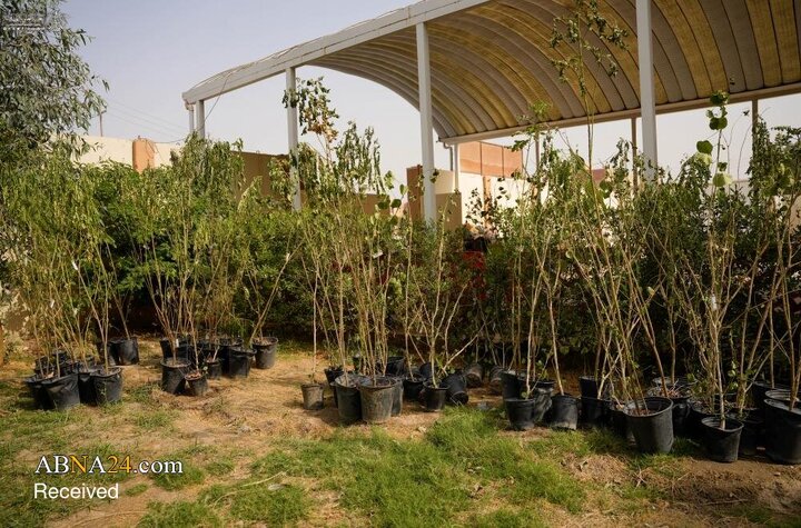 Photos: Distribution of 30,000 saplings in tree-planting campaign of Alawi Holy Shrine
