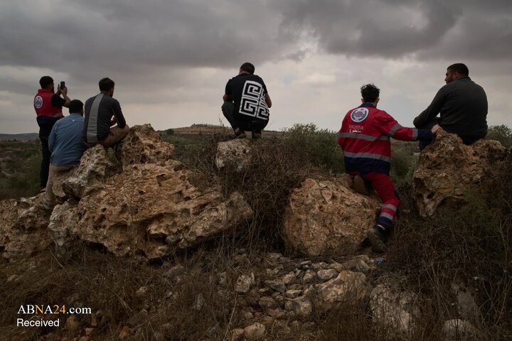 Informe fotográfico | La cosecha de aceitunas bajo la sombra de la amenaza de los colonos israelíes en Cisjordania