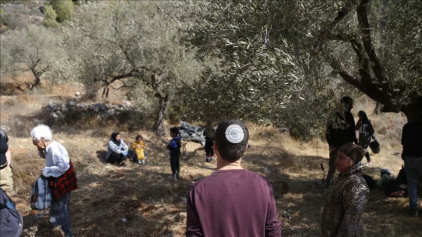 Israeli forces and settlers carry out 20 attacks on Palestinian farmers