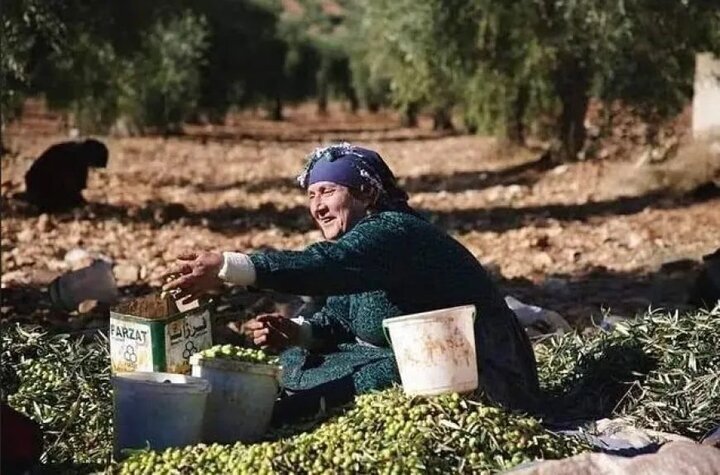 ژیان دوای گەڕانەوە بۆ کوردستان؛قەیرانی بێکاری و بێ بژیویی بڕستی کورد سووریا دبڕێت