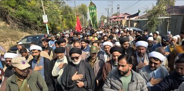 Following the Example of Fatima Zahra Is Essential for Building a Moral Society : Syed Hassan Mousavi
