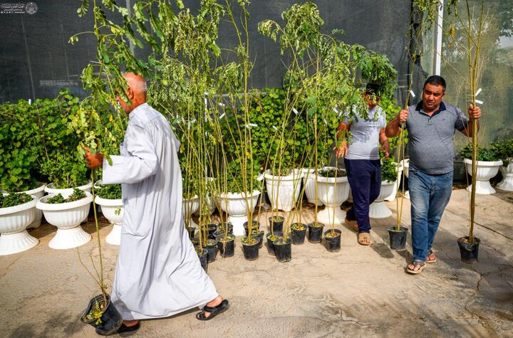 تقرير مصور/ العتبة العلوية توزع شتلات الأشجار على المواكب المنتشرة على طريق «يا حسين»