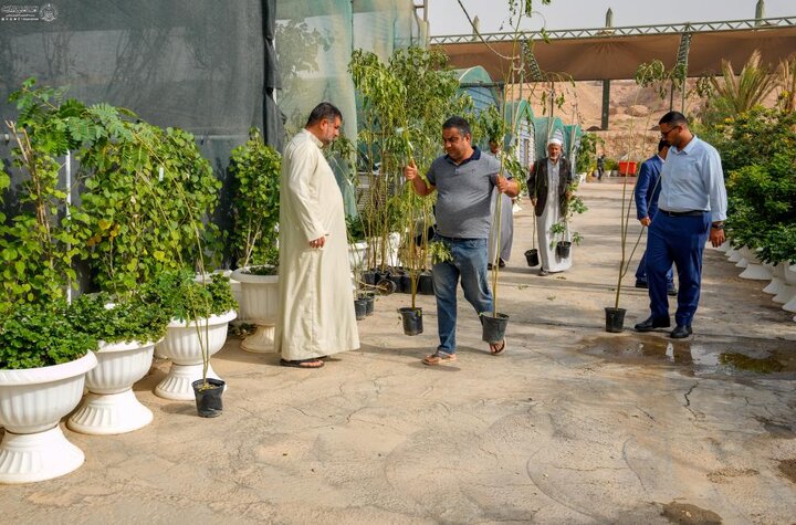 تقرير مصور/ العتبة العلوية توزع شتلات الأشجار على المواكب المنتشرة على طريق «يا حسين»
