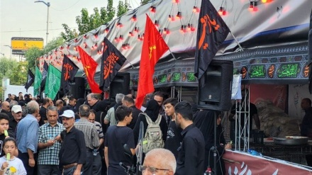  Торжественное участие влюбленных Имама Хусейна в шествии Арбаина