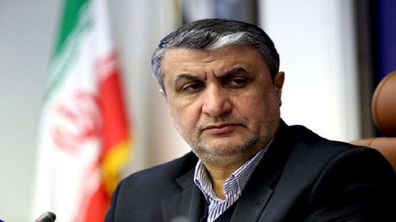 اسرائیلی الزامات جھوٹ کا پلندہ ہیں، ایرانی عہدیدار