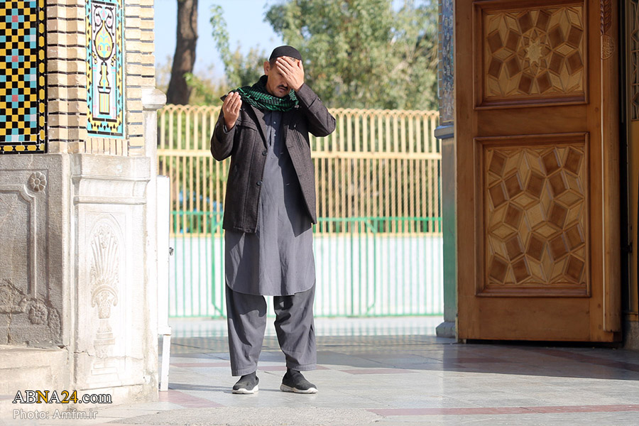 Фоторепортаж/ Значительное присутствие иностранных паломников в храме Хазрата Масуме (мир ей)