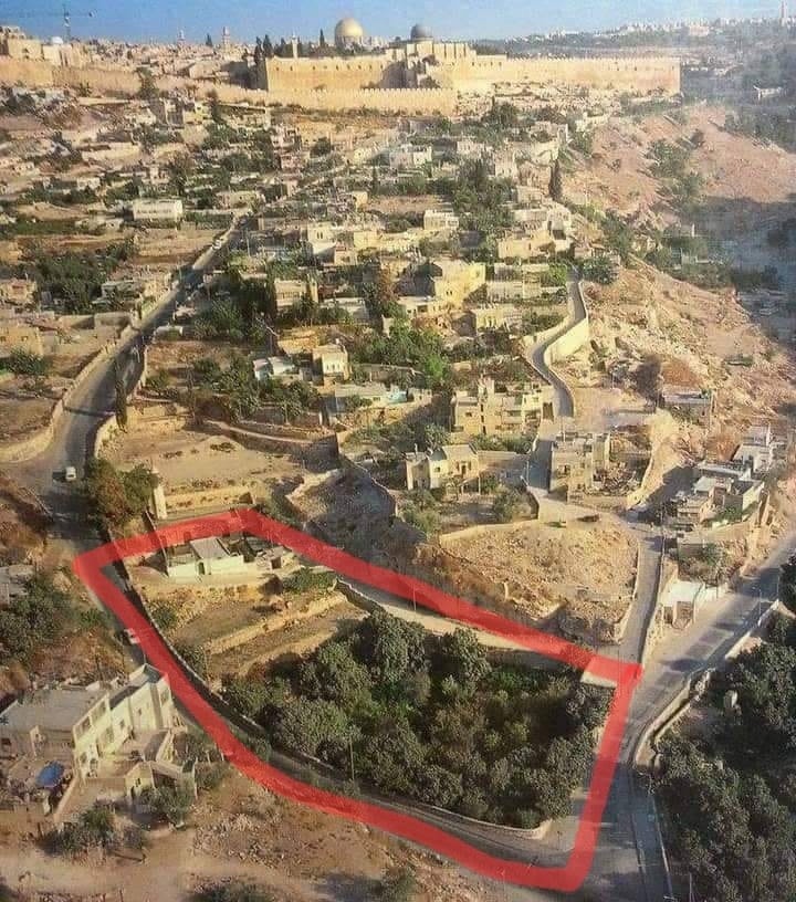 مهمة دينيا وتاريخياً ..الاحتلال الإسرائيلي يستولي على أرض الحمــــــرا" أهم منطقــة في واد حلوة بالقدس