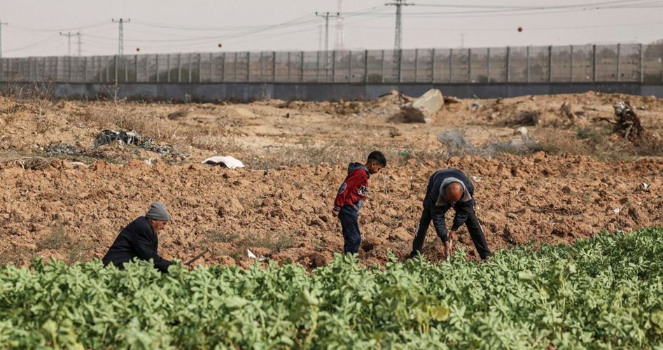 Israeli enemy attacks agricultural area and fishermen in Gaza